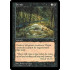 Perish (Tempest)