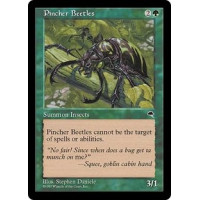 Pincher Beetles (Tempest)