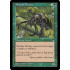 Pincher Beetles (Tempest)