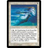 Quickening Licid (Tempest)