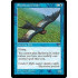Skyshroud Condor (Tempest)