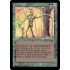 Gaea's Touch (The Dark)