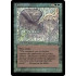 Land Leeches (The Dark)