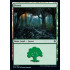 Forest v2 (Throne of Eldraine)