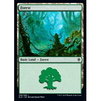 Forest v1 (Throne of Eldraine)
