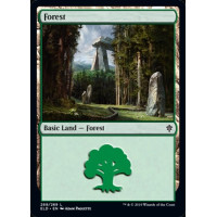 Forest v3 (Throne of Eldraine)