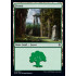 Forest v3 (Throne of Eldraine)