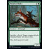 Maraleaf Rider (Throne of Eldraine)