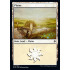 Plains v1 (Throne of Eldraine)