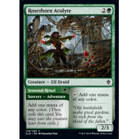 Rosethorn Acolyte // Seasonal Ritual (Throne of Eldraine)