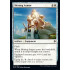 Shining Armor (Throne of Eldraine)