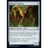 Sorcerer's Broom (Throne of Eldraine)