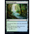 Thornwood Falls (Throne of Eldraine)