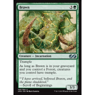 Brawn (Ultimate Masters)