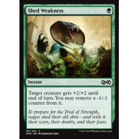 Shed Weakness (Ultimate Masters)