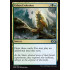 Urban Evolution (Ultimate Masters)