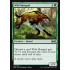 Wild Mongrel (Ultimate Masters)