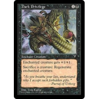 Dark Privilege (Visions)