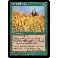 Elephant Grass (Visions)