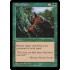Elven Cache (Visions)