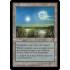 Everglades (Visions)