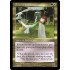 Femeref Enchantress (Visions)