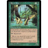 River Boa (Visions)