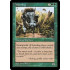 Warthog (Visions)