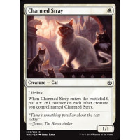 Charmed Stray (War of the Spark)