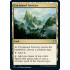Unclaimed Territory (Innistrad: Midnight Hunt Commander)