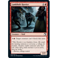 Lambholt Harrier (Innistrad: Midnight Hunt)