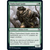 Timberland Guide (Innistrad: Midnight Hunt)