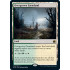 Overgrown Farmland v1 (Innistrad: Midnight Hunt)