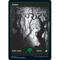 Forest v3 (Innistrad: Midnight Hunt)