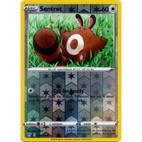 Sentret - 135/189 - Darkness Ablaze - Reverse Holo