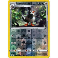 Staravia - 146/189 - Darkness Ablaze - Reverse Holo