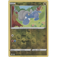 Bagon - 107/203 - Evolving Skies - Reverse Holo