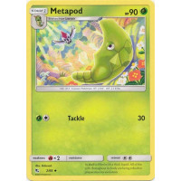 Metapod - 2/68 - Hidden Fates