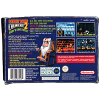 Donkey Kong Country 2 for Super Nintendo
