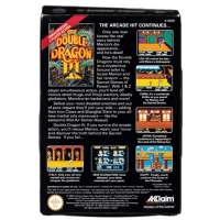 Double Dragon III: The Sacred Stones for Nintendo NES A