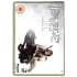 Fable II Limited Coll. Edition for Xbox 360