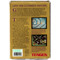 Gauntlet for Nintendo NES NTSC