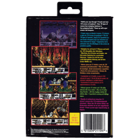 Risky Woods for Sega Mega Drive